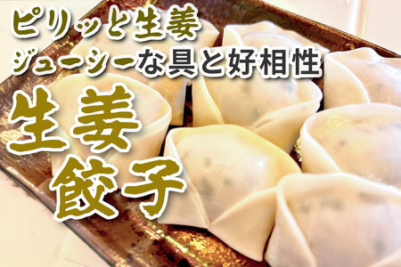 生姜餃子30個入り [3243]