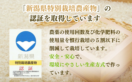 新潟県産 コシヒカリ ブランド米 「出雲崎の輝き」 2kg×6か月 出雲崎 令和7年産 定期便 合計12kg | コシヒカリ
