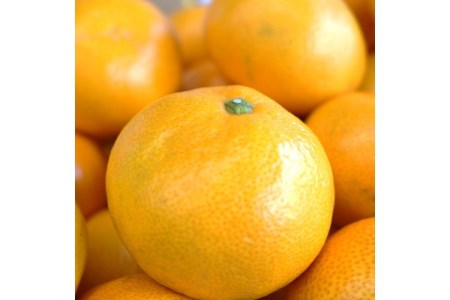 【0204-3】和歌山の完熟みかん5kg 紀州日高地方からお届けします!≪先行予約≫