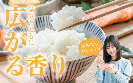 【父の日】都城産ひのひかり特別栽培米「ぼんちそだち」10kg(5kg×2袋)≪6月18日～21日お届け≫〔21-N5-001-10kg-FG〕_(都城市) 都城産 お米 10kg 5kg×2 ひのひかり ぼんちそだち