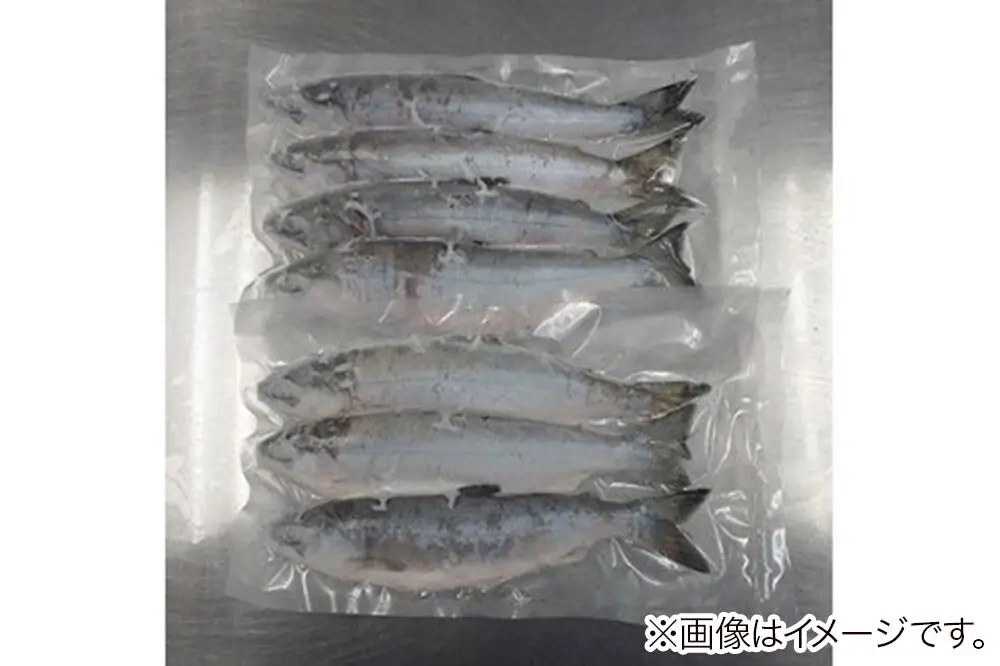 【冷凍】十和田湖ひめます 約1.3kg（28cm前後 5～7尾程度）魚 刺身 塩焼き