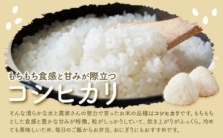 令和7年産 池山名水米 コシヒカリ 白米 精米 2kg フォーシーズン産山村
