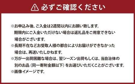 お試し規格！ 桃 1kg （2～4玉） もも モモ ピーチ 果物 フルーツ 山梨県産 国産 【2026年6月下旬～8月下旬発送予定】