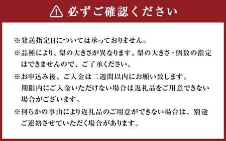 【ご家庭用】 九重町産 梨 詰め合わせ 約3kg （約6～8個） なし ナシ 香麗 こうれい 幸水 こうすい 豊水 ほうすい あきづき なつしずく 果物 くだもの フルーツ 【2026年8月上旬～9月下旬発送予定】