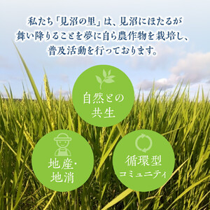 見沼田圃　ほたる米（無農薬／無化学肥料玄米） コシヒカリ 5kg　【11100-1138】