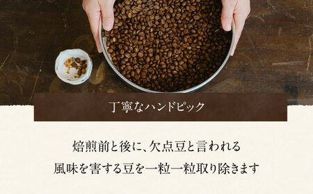 スペシャルティコーヒー詰め合わせ　150g×2袋【海と猫。】[OCK001]