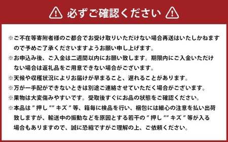 シャインマスカット 晴王 2房 （1房480g以上） 化粧箱入り 【2026年8月下旬～11月上旬迄発送予定】／ マスカット 葡萄 ぶどう 果物 果実 フルーツ 種なし 皮ごと 大粒 岡山県 美咲町 冷蔵
