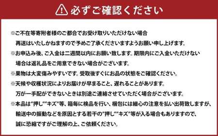 岡山県産 ぶどう詰合 ／ ニューピオーネ 1房 ・ シャインマスカット 晴王 1房 （各480g以上） 化粧箱入り 【2026年8月下旬-10月上旬迄発送予定】 ／ 葡萄 ぶどう マスカット 果物 果実 フルーツ 詰め合わせ 詰合せ 岡山県 美咲町 冷蔵