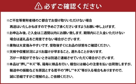 岡山県産 ニューピオーネ 2房 （1房600g以上） 化粧箱入り 【2026年8月下旬-10月上旬迄発送予定】 ／ 葡萄 ぶどう 果物 果実 フルーツ 種なし 岡山県 美咲町 冷蔵