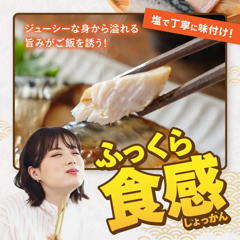 【訳あり】甘塩さば切身1kg〔AA-N7-002〕_(都城市) 訳あり 甘塩さば 切身 1kg 焼き魚 おかず お弁当