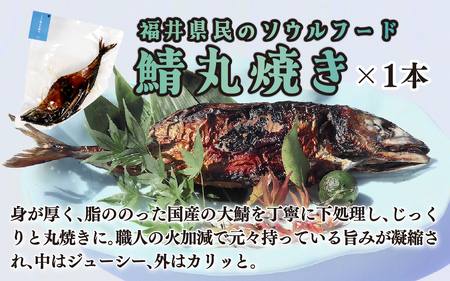 旬の焼き魚セット 真空パック入り 日本海 鮮魚