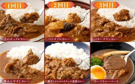 カラダ想いのスパイスカレー（2種4個×5回）毎月【5回定期便】 薬膳ビーフカリー 豚バラジンジャーカリー 薬膳ポークカリー きのこスパイスカレー スープカレーベース バターチキンカレー ベジタブルカレー 煮込み牛すじカレー きのポックルカレー 舞茸とホロホロチキンの薬膳カレー スパイスカレー カレー カレーライス 5回 定期便 2種 4個