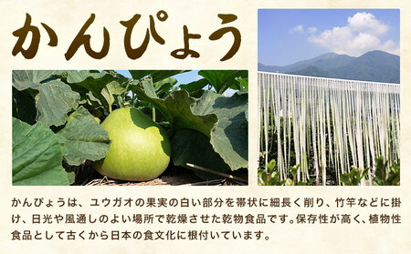 かんぴょう 計100g 50g×2袋 《30日以内に出荷予定(土日祝除く)》 株式会社TMO結城 茨城県 結城市 干瓢 野菜 乾物 特産品 食材 巻き寿司 具材 煮物 汁物 かんぴょう巻き 国産 日持ち 食物繊維