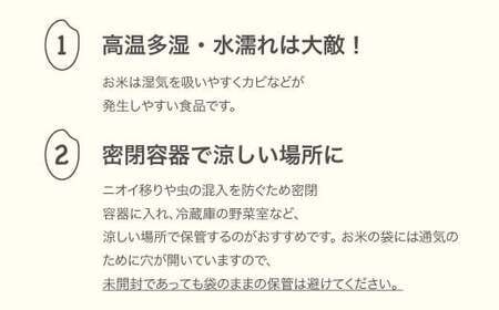 米 お米 山形県産米 精米 お米 10kg 10kg×1 令和7年産 2025年産 山形県村山市産 ※沖縄・離島への配送不可 mo-brxxa10