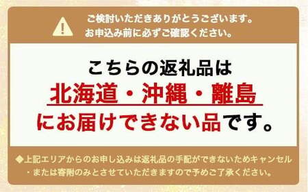 【お正月飾り】しめ飾り（小）※北海道・沖縄・離島への配送不可 ※2026年12月中旬～12月下旬頃に順次発送予定