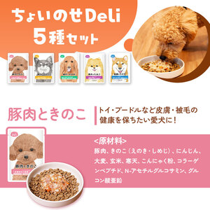 ちょいのせDeli 5種 × 各3袋 セット | ペット 愛犬 犬 ウェットフード 国産 ドッグフード 熊本県 玉名市