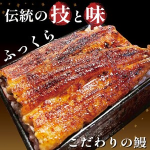 【国産 うなぎ】冷凍 うなぎ 2尾 贈答用 のし対応可 