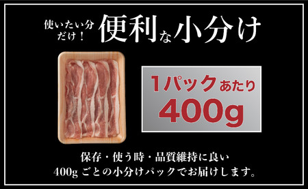 【3回定期便】 長崎県産 豚肉 モモスライス 1.6kg (400g×4) 総計4.8kg 定期便 小分け 冷凍 豚肉 しゃぶしゃぶ すき焼き ぶたにく 国産豚 3回 定期便 