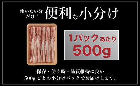 長崎県産 豚肉 バラスライス 計1kg (500g×2) 小分け 冷凍 豚肉 しゃぶしゃぶ すき焼き ぶたにく 国産豚 