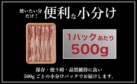 【12回定期便】 長崎県産 豚肉 バラスライス 計1kg (500g×2) 総計12kg 定期便 小分け 冷凍 豚肉 しゃぶしゃぶ すき焼き ぶたにく 国産豚 12回 定期便 