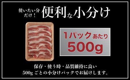 長崎県産 豚肉 ローススライス 計1kg (500g×2) 小分け 冷凍 豚肉 しゃぶしゃぶ すき焼き ぶたにく 国産豚 