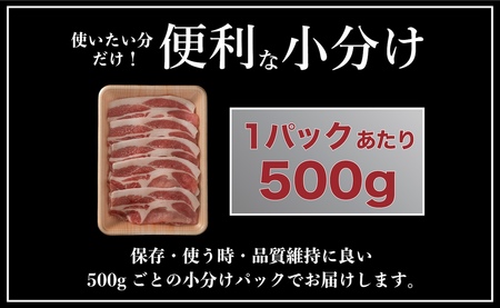 【12回定期便】 長崎県産 豚肉 ローススライス 計1kg (500g×2) 総計12kg 定期便 小分け 冷凍 豚肉 しゃぶしゃぶ すき焼き ぶたにく 国産豚 12回 定期便