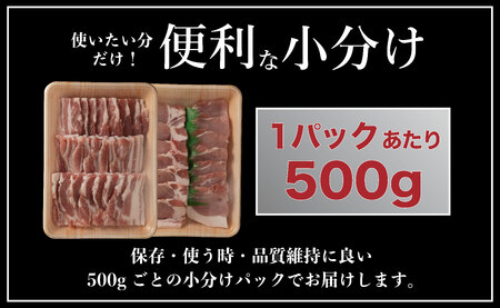 《定期便》長崎県産豚 バラ･ロース 焼肉用 2種食べ比べ 計1kg(バラ500g×1･ロース500g×1)6回お届け】