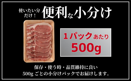 長崎県産豚 ロース生姜焼き用 計1kg (500g×2)