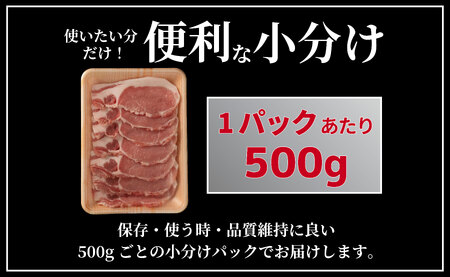 《定期便》長崎県産豚 ロース生姜焼き用 計1kg (500g×2)【6回お届け】