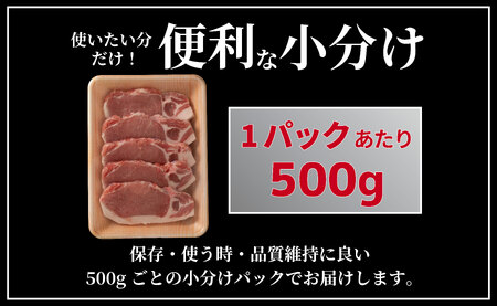 《定期便》長崎県産豚 ロースとんかつ用計1kg(100g×5枚×2) 【6回お届け】