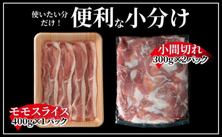 《定期便》長崎県産豚 バラエティ 5点セット 計2.5kg【6回お届け】