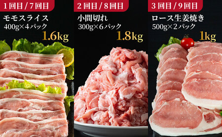 《定期便》長崎県産豚 食べ比べ 松コース【12回お届け】