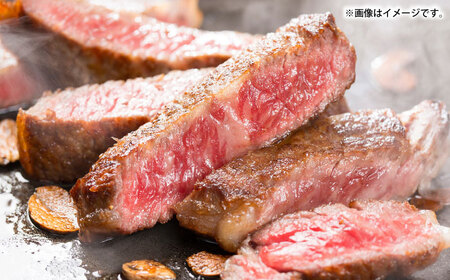 【全3回定期便】サーロインステーキ＆カレープレミアム 肉 和牛 [JDW125]