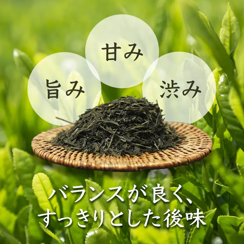 舞鶴茶 上煎茶 1袋 200g | お茶 緑茶 茶