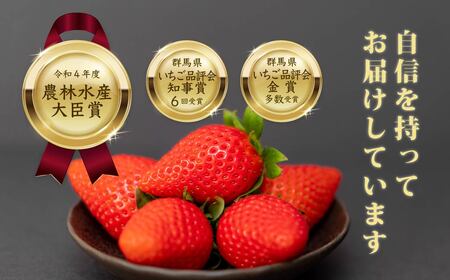 いちご 大容量 やよいひめ いちごデラックスパック 1.2kg 2027年 先行予約 | 前橋市