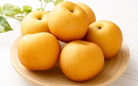 ≪先行受付≫ 福果園の樹上完熟梨 農家直送品種おまかせ（3kg程度）5～9玉 【2026年9月上旬～9月下旬 発送予定】