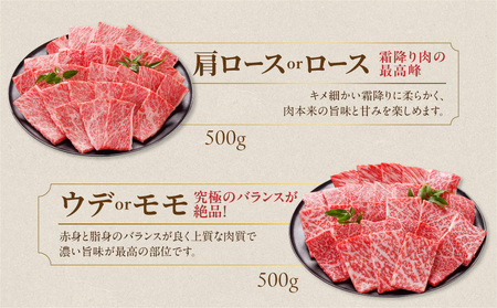 【父の日】牛肉 宮崎牛焼肉2種セット500g×2パック≪6月18日～21日お届け≫〔AC-N2-002-1kg-FG〕_(都城市)  牛肉 宮崎牛 肩ロース又はロース ウデ モモ 焼肉 500g