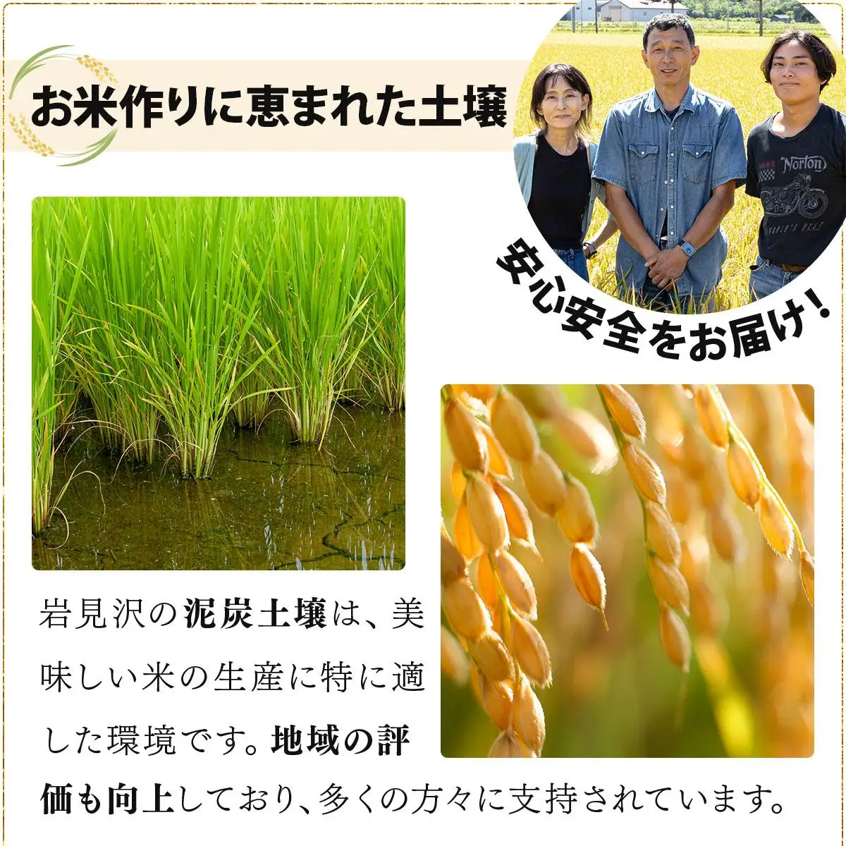 令和7年産北海道岩見沢市産　あやひめ精米5kg≪沖縄・離島配送不可≫ a124-032-R7