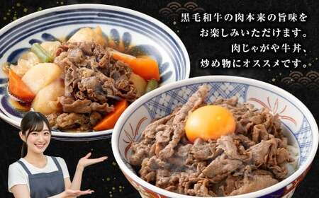 【鹿児島県産】黒毛和牛 赤身 切り落とし 計1kg (500g×2） 肉 お肉 にく ニク 牛肉 冷凍 スターゼン 鹿児島県 薩摩川内市 AS-8126