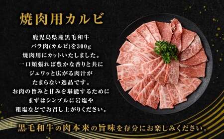 【鹿児島県産】 黒毛和牛 サーロインステーキ＆カルビ焼肉セット 合計約620g 肉 お肉 にく ニク 牛肉 サーロイン カルビ ステーキ 焼肉 詰め合わせ 冷凍 スターゼン 鹿児島県 薩摩川内市 BS-3121