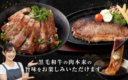 【鹿児島県産】黒毛和牛 サーロインステーキ 約500g （約170g×3枚） 肉 お肉 にく ニク 牛肉 サーロイン ステーキ 冷凍 スターゼン 鹿児島県 薩摩川内市 BS-3122
