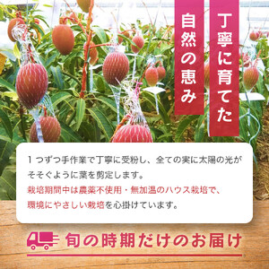 パッションフルーツ (1kg12個入り化粧箱) 2026年6月～出荷開始 | パッションフルーツ