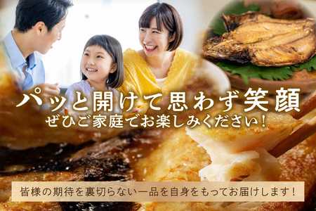 訳あり 干物てんこ盛りセット 3kg以上 【176_1790】