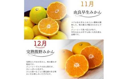 みかん 定期便 4回 計40kg【超極早生温州・極早生温州・由良早生・早生温州】みかん【nkmr-tkb0006】