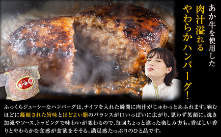 くまもとあか牛ハンバーグ 150g×6個 有限会社草佳苑《30日以内に出荷予定(土日祝除く)》熊本県 菊池市 肉 牛肉 お肉 和牛 あか牛 ハンバーグ 熊本県産 冷凍