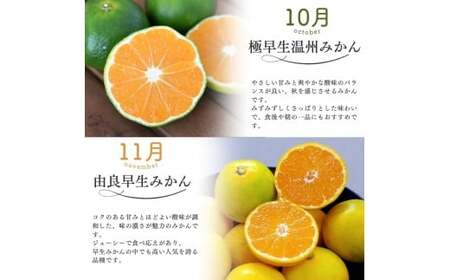 みかん 定期便 5回 計14.5kg 【温室みかん・超極早生温州・極早生温州・由良早生・早生温州】【nkmr-tkb0001】