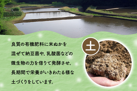 【3ヶ月定期便】令和7年度 殺虫剤・殺菌剤不使用｜こしひかり（5kg） 合計15kg 定期便 コシヒカリ 米 こしひかり 精米 ブランド米 お米 白米 5kg 国産 贈答 ギフト おにぎり 弁当 R7年産 ごはん おいしい 旨い ふっくら お米 茨城県 笠間市 いばらき BF-011