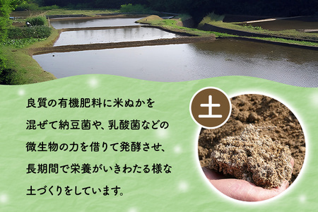 【6ヶ月定期便】令和7年度 殺虫剤・殺菌剤不使用｜こしひかり（5kg） 合計30kg 定期便 コシヒカリ 米 こしひかり 精米 ブランド米 お米 白米 5kg 国産 贈答 ギフト おにぎり 弁当 R7年産 ごはん おいしい 旨い ふっくら お米 茨城県 笠間市 いばらき BF-012