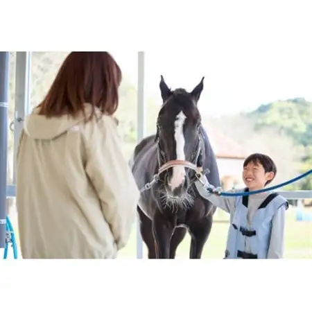 乗馬体験 (30分) 10回スキルUPコースご利用券(別途装具レンタル・保険料必要)【1703900】