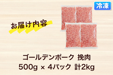 肉 豚 【冷凍】ゴールデンポーク 挽肉 2kg セット